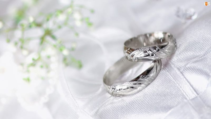 LICENSE MARRIAGE OFFICIANT