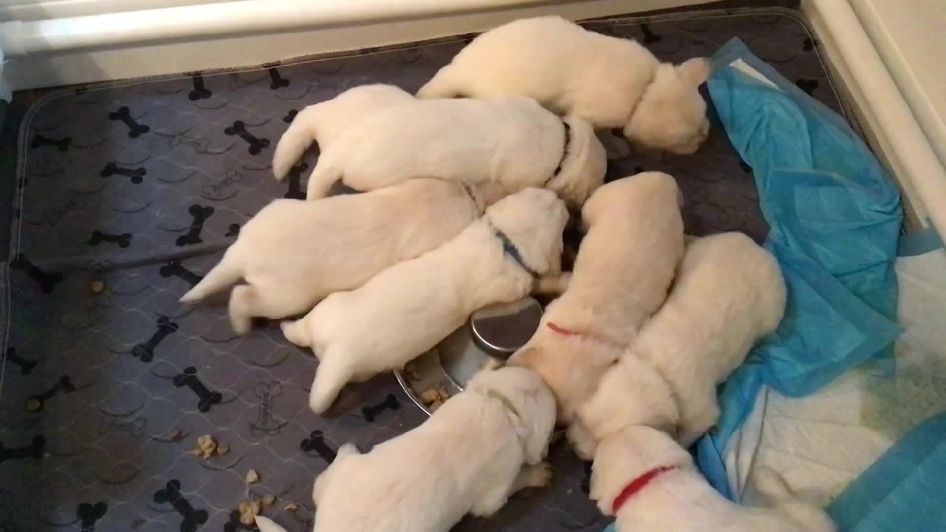 First solid food.  Loving it!