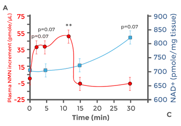 NMN –NAD+を増やすための最も直接的で効果的な方法