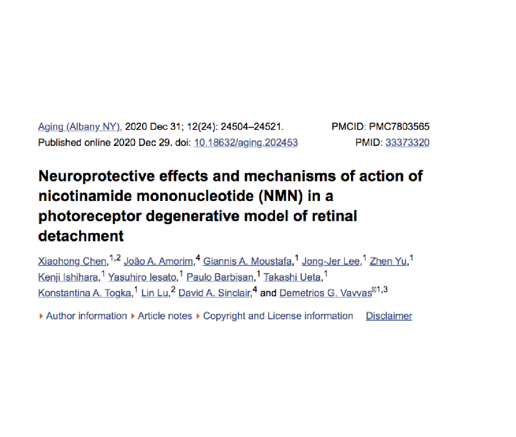 2021年のNMNに関する最新の研究によると、NMNは視神経を保護し、網膜の損傷を軽減します