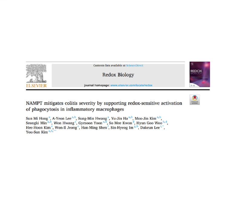 NMNは炎症性腸疾患を改善します