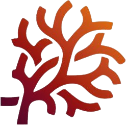 ILANI הפקת אירועים