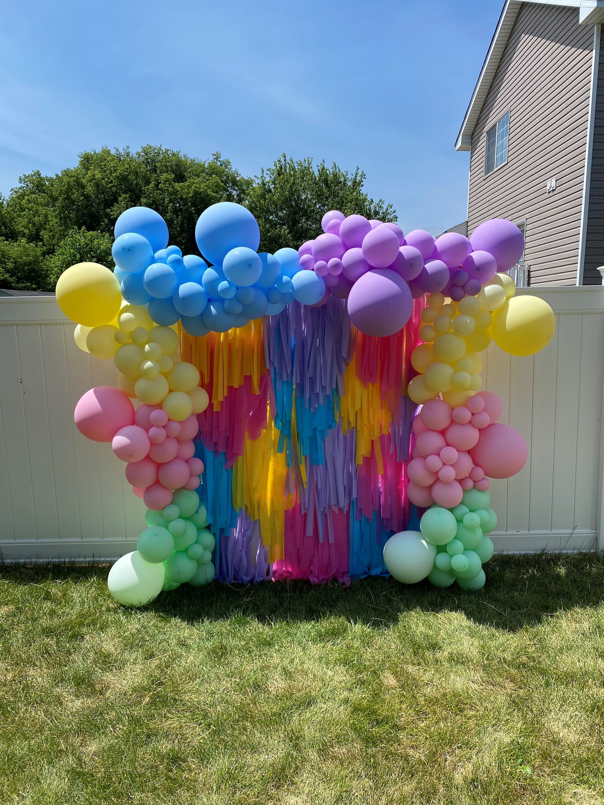 18 Ft First Birthday Garland with Shag Backdrop