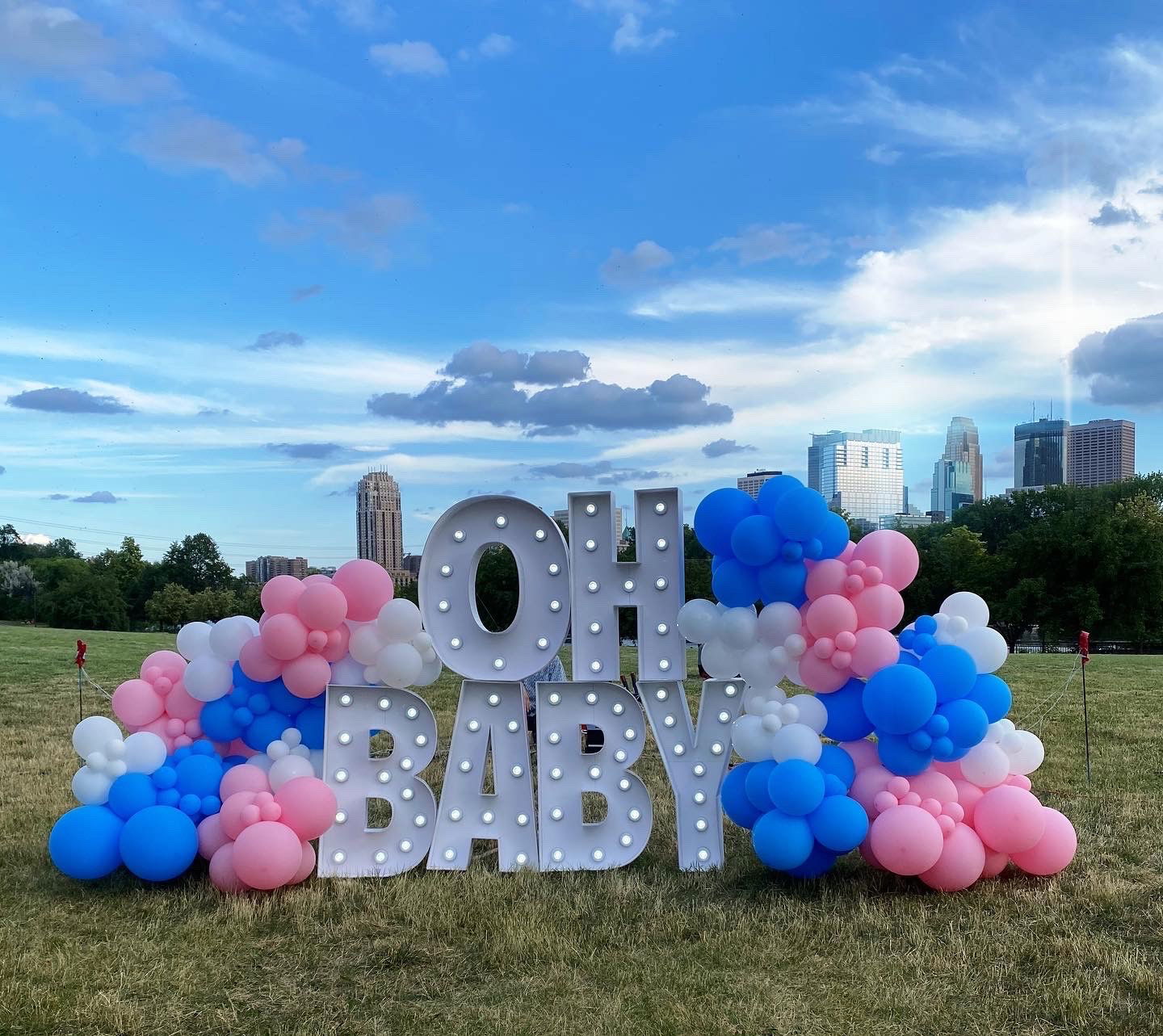 16 Ft Balloon Clusters with Oh Baby Gender Reveal Backdrop 