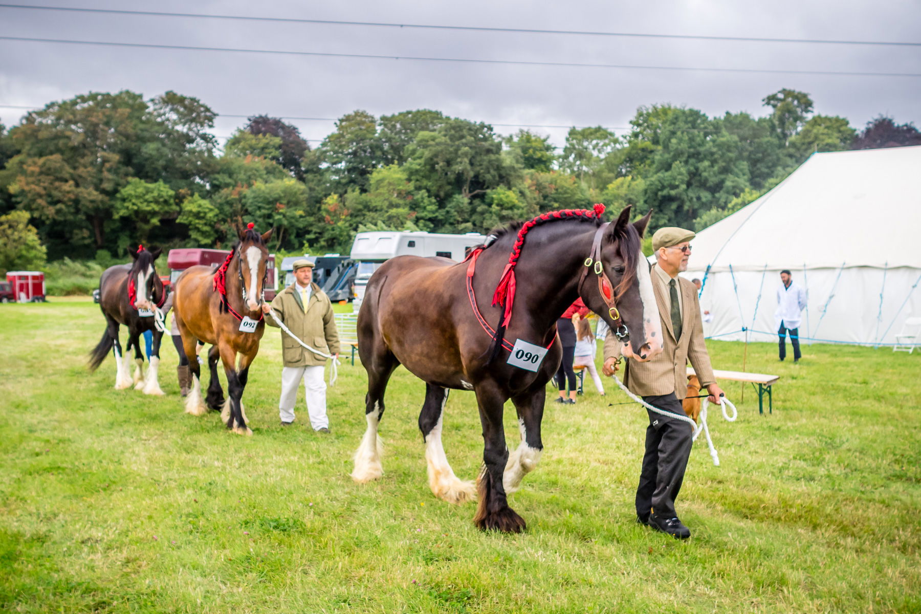 Heavy Horses