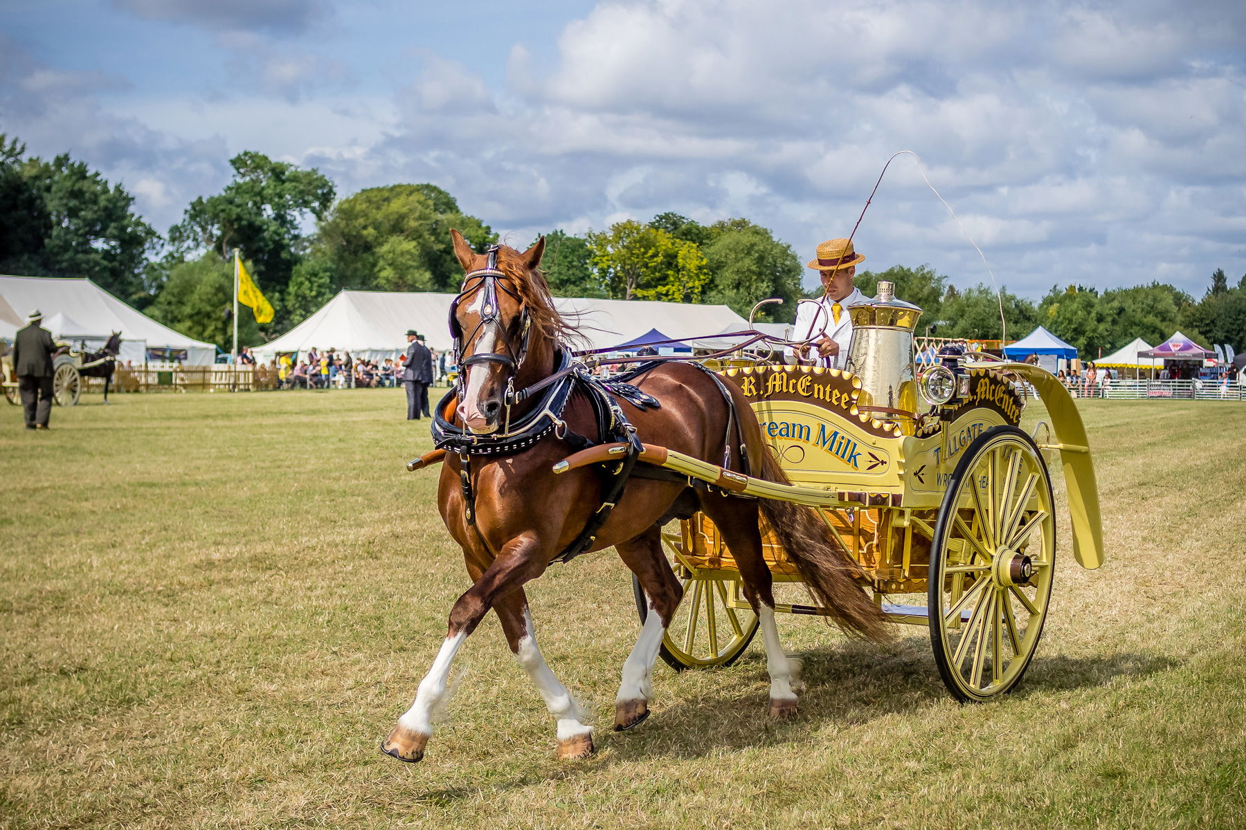 Light Horse Driving