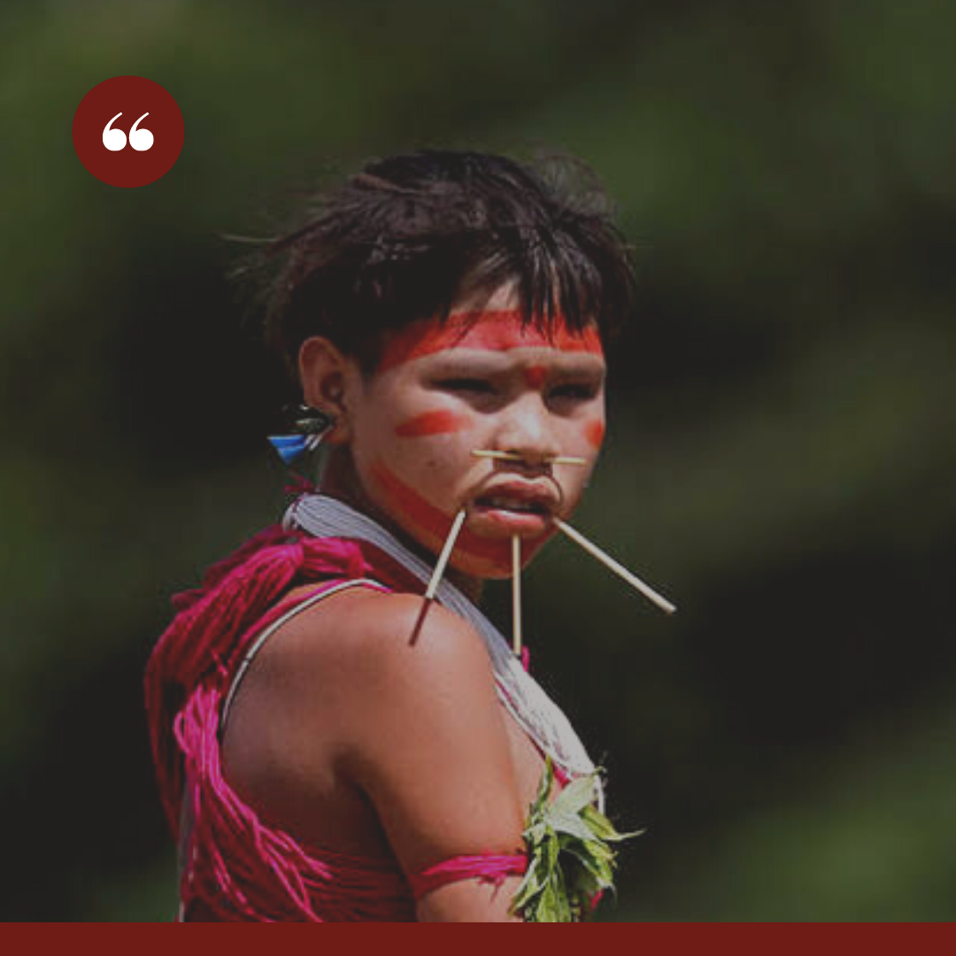 #Cadê os Yanomami?