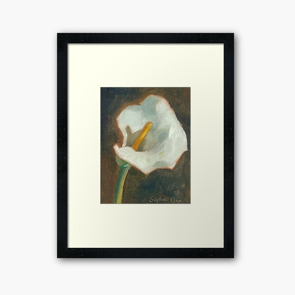 Arum Lilly