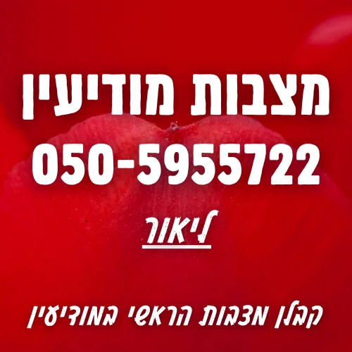 מצבות מודיעין מכבים רעות