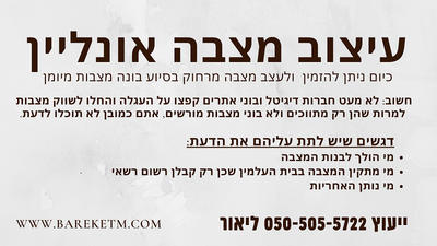 עיצוב מצבה אונליין