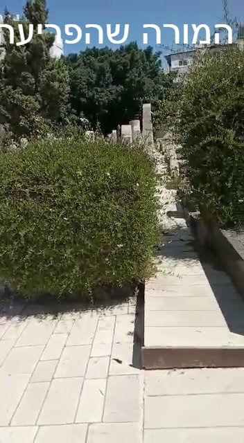 המורה מפריעה