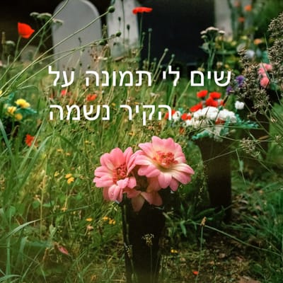 תמונה על קיר, נשמה