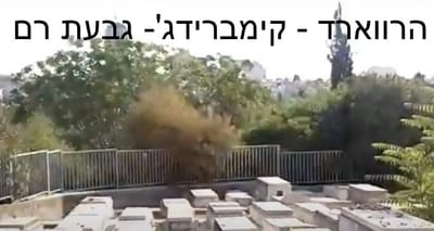 הרווארד - קיימברידג' - גבעת רם