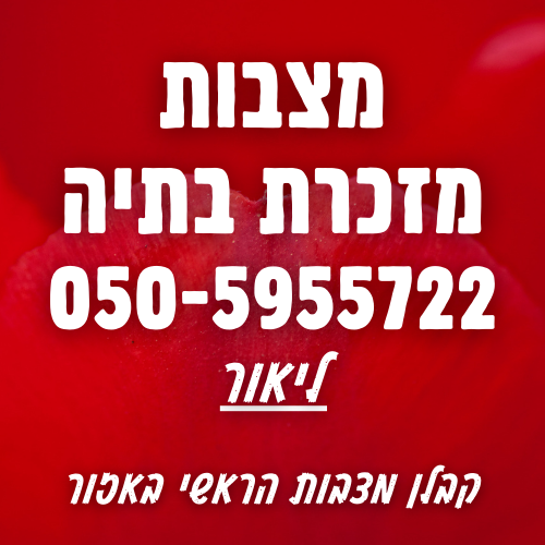 מצבות במזכרת בתיה