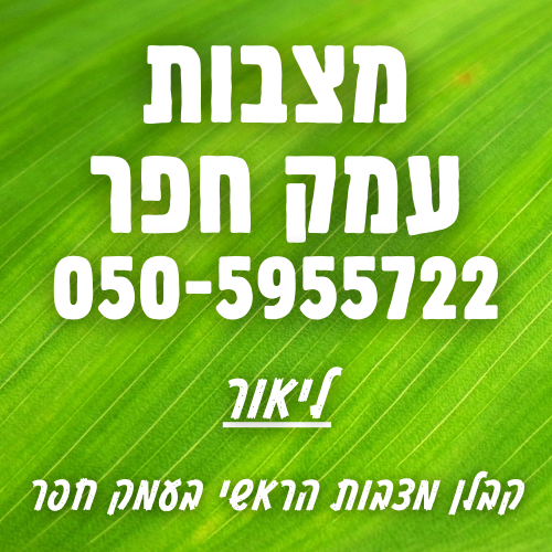 מצבות עמק חפר