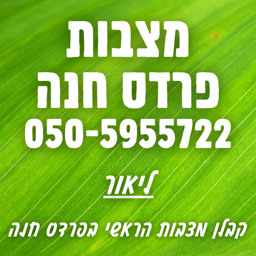 מצבות בפרדס חנה