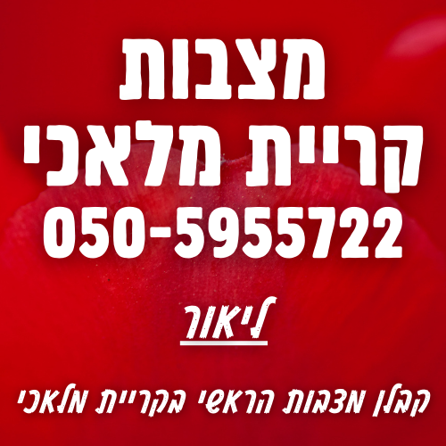 מצבות בקריית מלאכי