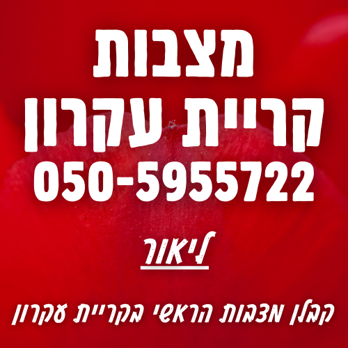 מצבות בקריית עקרון