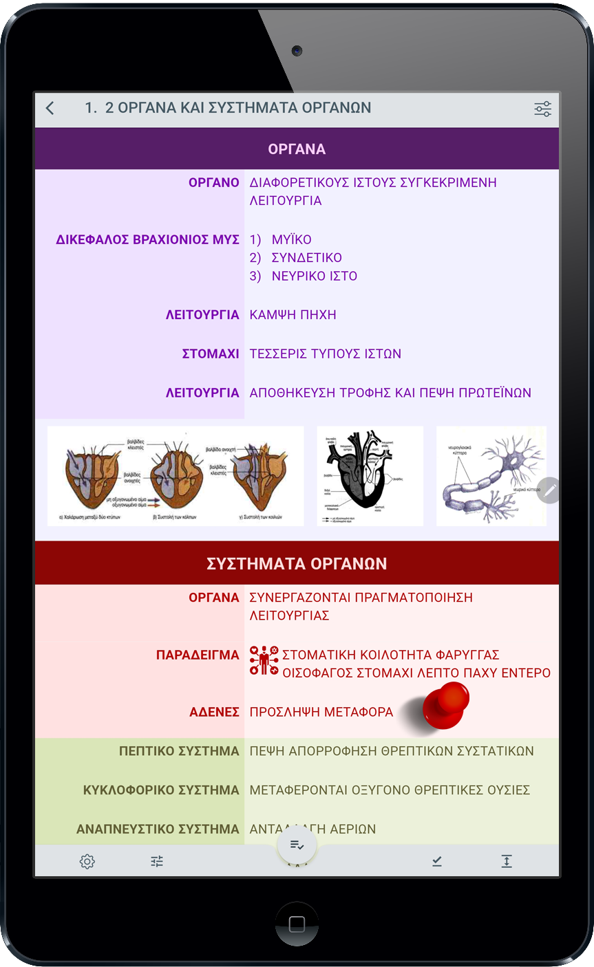 Δεν μπορείς να ΦΑΝΤΑΣΤΕΙΣ