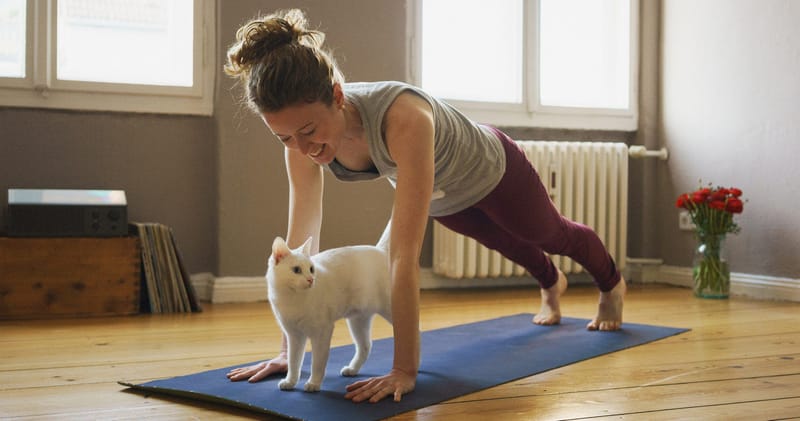 Best Home Workout Equipment: