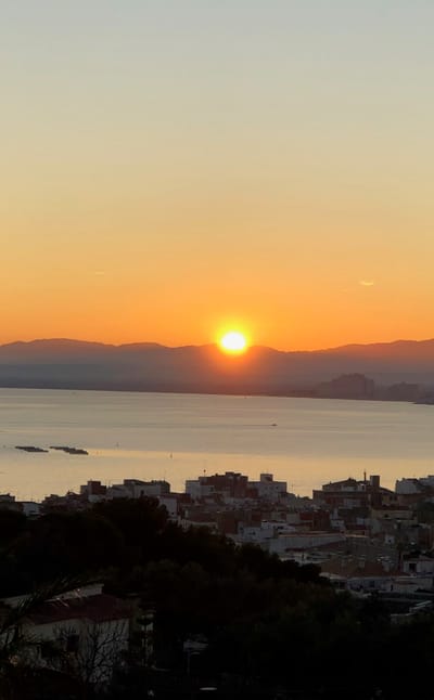 Franck (n°1104) nous fait rêver