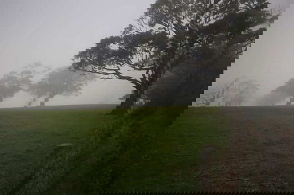 Earth's end