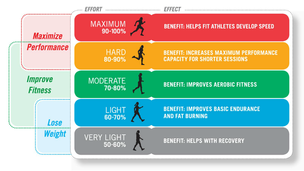 Why should I know about my Heart Rate?