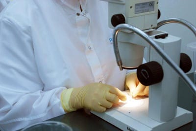 {{trans:a570c859b09f148649af0f3b50f6fd3c_1}} image