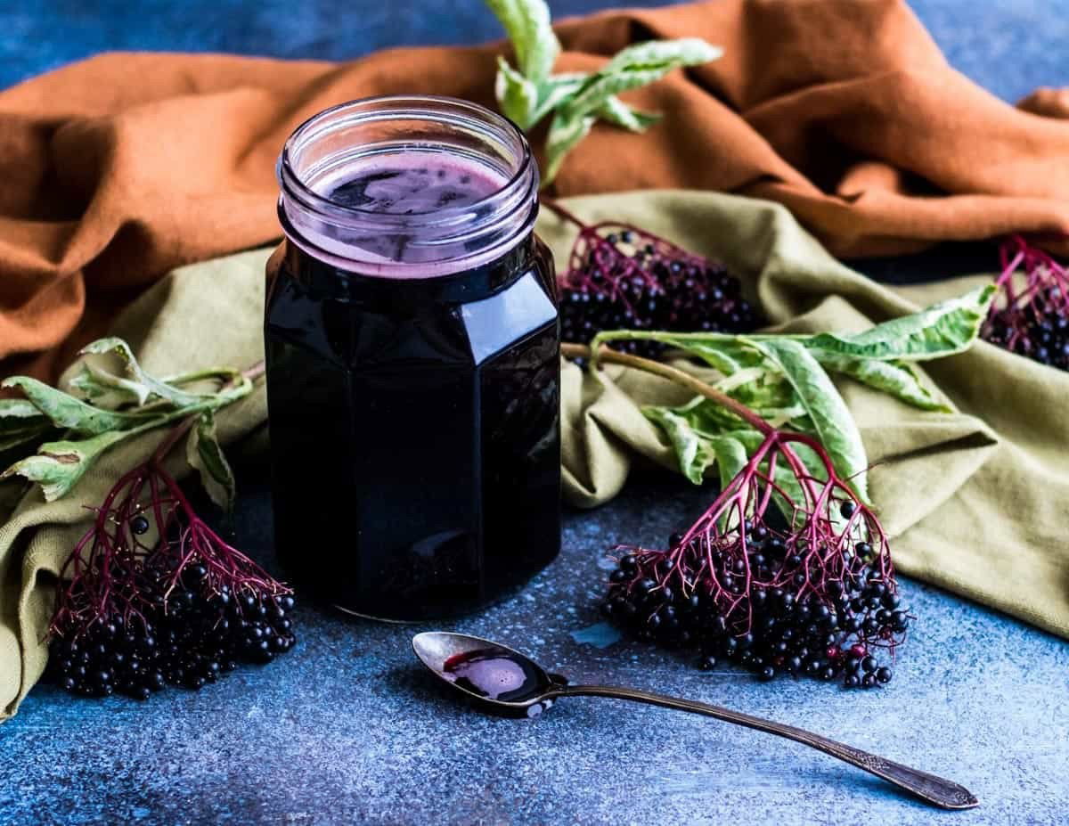 Benefits of Using Elderberry for Your Immune System