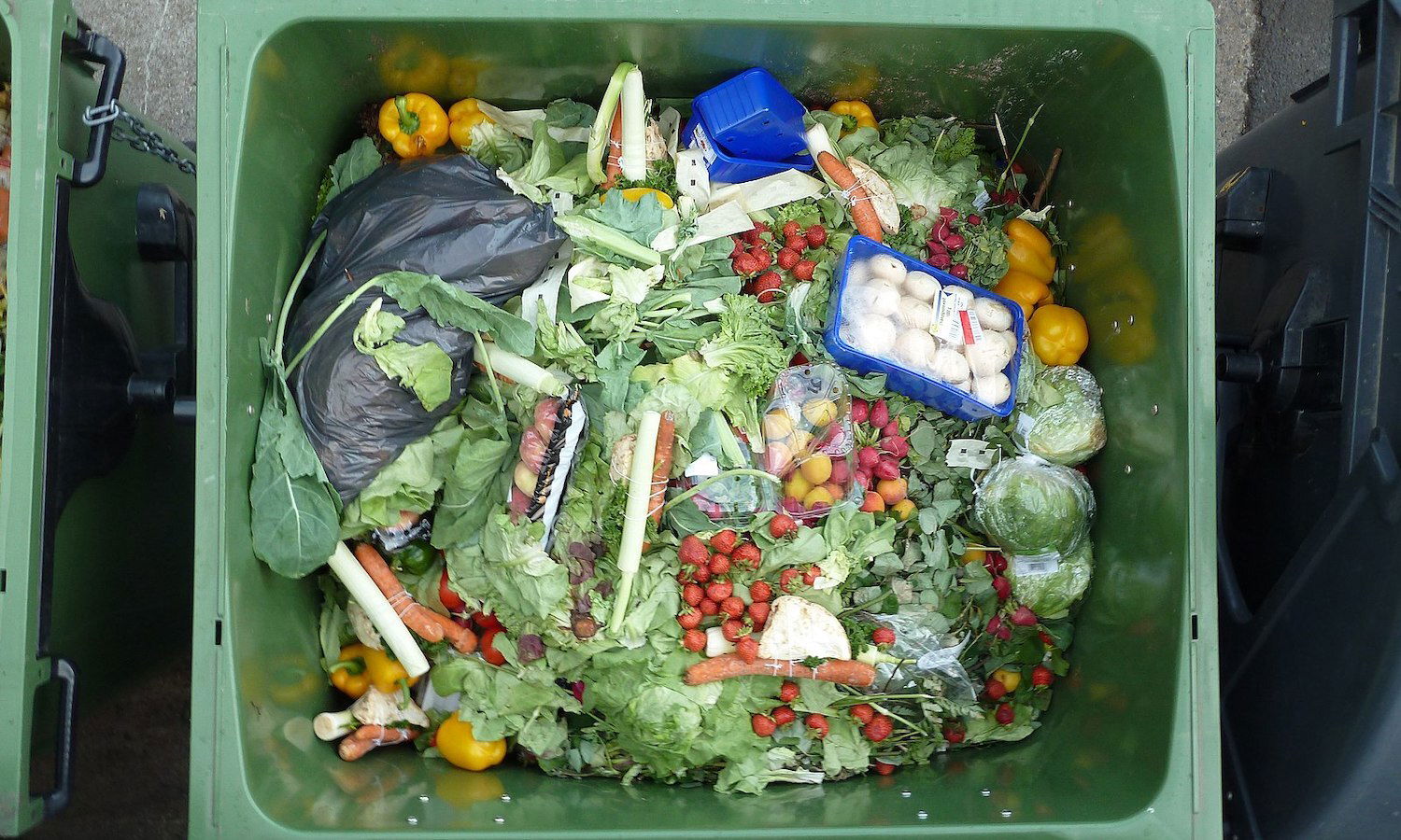 MAKE YOUR FOOD SCRAPS COUNT-NO FOOD WASTAGE