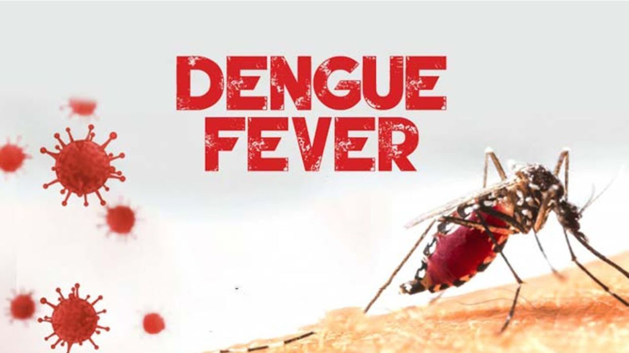 HOME REMEDIES FOR DENGUE