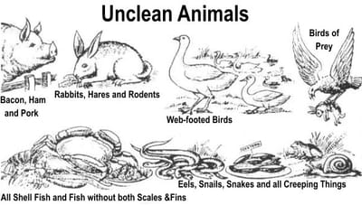 List of Unclean Animals