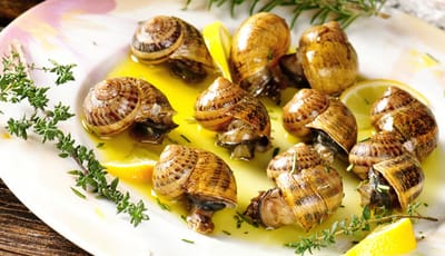 Children of Israel: ESCARGOT IS UNCLEAN