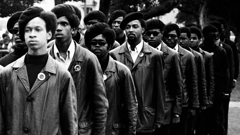 The Black Panther Party