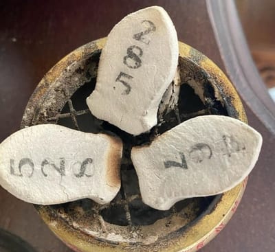 &quot;ฮาย อาภาพร&quot; แจกเลขเด็ดโค้งสุดท้าย งวดนี้ไม่มีกั๊ก เปิดให้เห็นเต็มๆ image