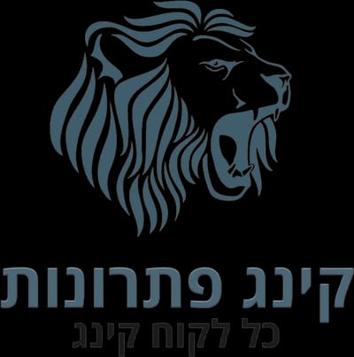 קינג פתרונות