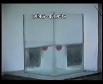 Студентска изложба, ФЛУ Београд (2002)