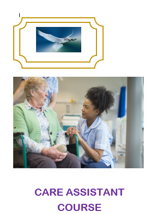 CARE ASSISTANT