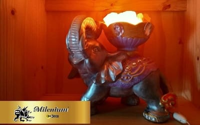 Sobre nosotros image