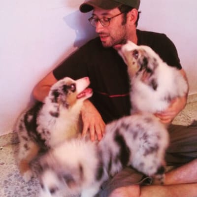 הפילוסופיה הגידולית של רגמון בית גידול לרועים אוסטרלים