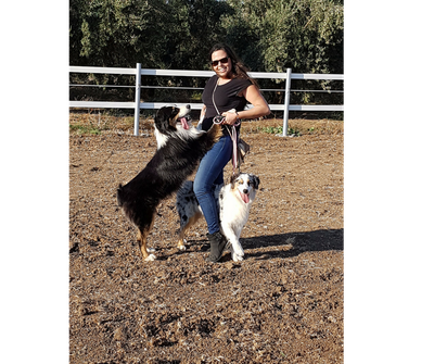 שבת של כיף עם לוי ושלבי