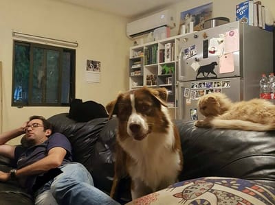 השבוע  בבית משפחת רגמון