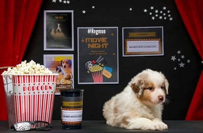 דובונים מהסרטים