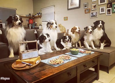 רגמונים בפסטיבל אירוויזיון 2019