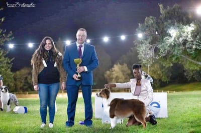 בריטני שלנו כוכבת התערוכה