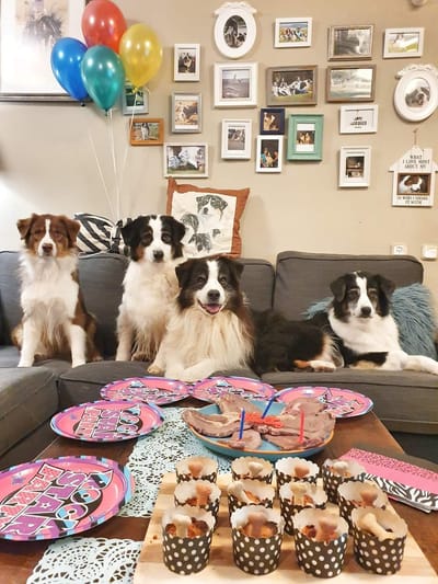 cakes and steaks party