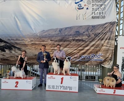 התערוכה הבינלאומית בנוף הגליל