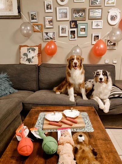 יום הולדת שנה לפולי ומילר