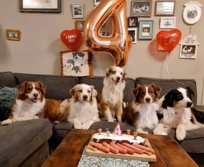 יום הלדת 4 לבריטני המופלאה