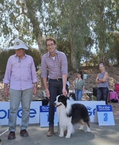 חדשות רגמון מתערוכת החוג הישראלי  לכלבי רועים במושב אביחיל